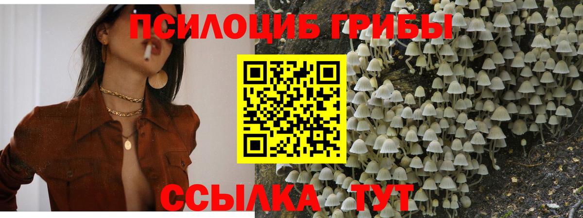 Псилоцибиновые грибы ЛСД Крымск