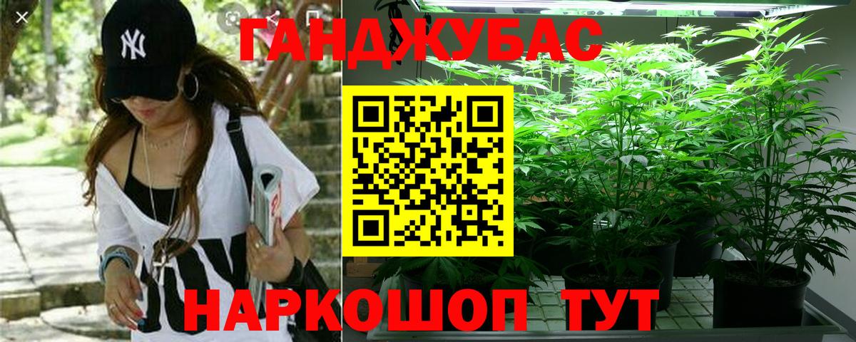 Крымск  Бошки Шишки семена  Марихуана семена  Канабис Bruce Banner  Вход с VPN 